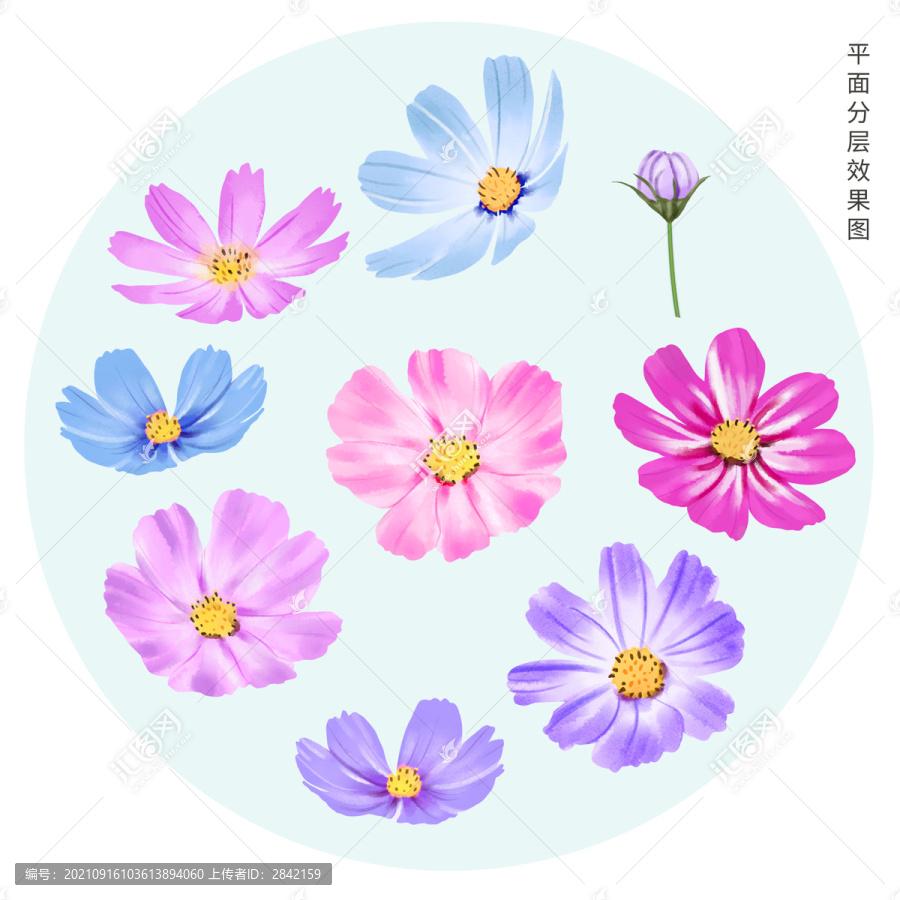 手繪格桑花