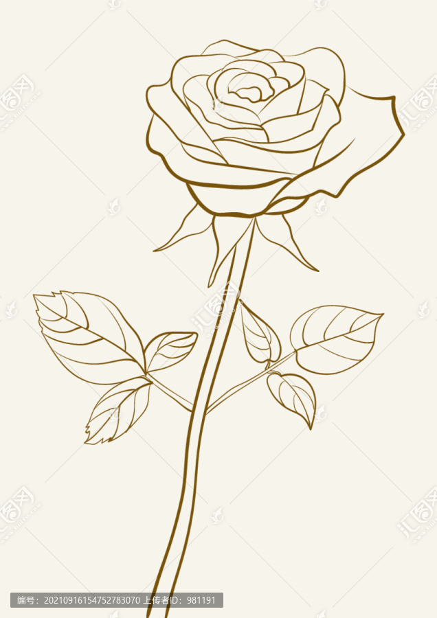 玫瑰花線稿