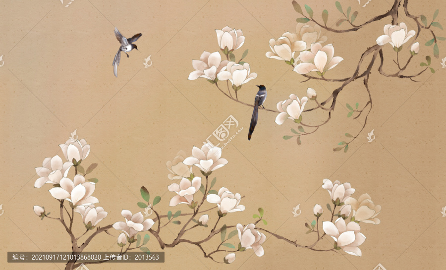 花鳥壁紙玉蘭花開