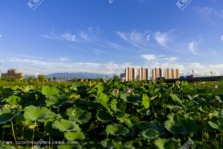 山水眉县