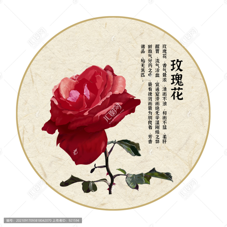 玫瑰花