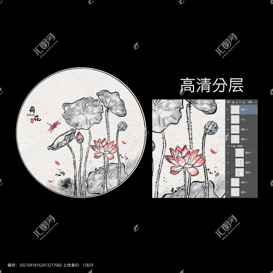 荷花