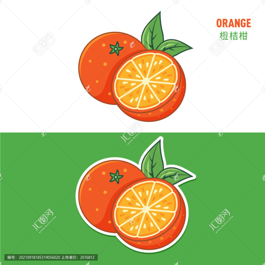 橙子插畫