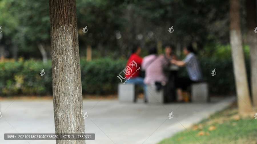 巢湖城市口袋公园之丁岗河公园