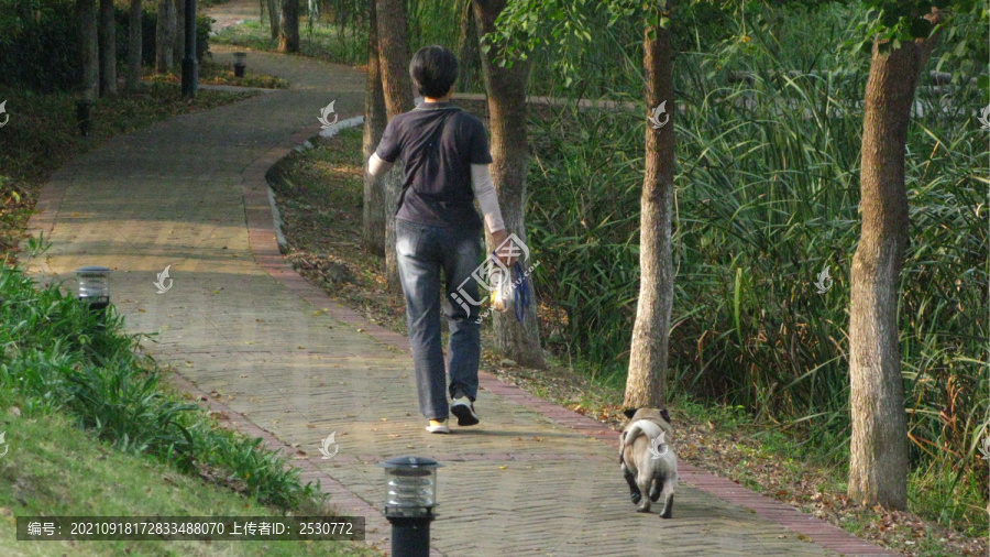 巢湖城市口袋公园之丁岗河公园