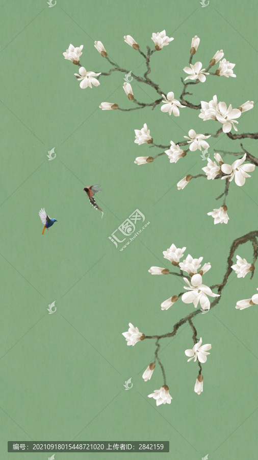 工筆玉蘭花鳥畫