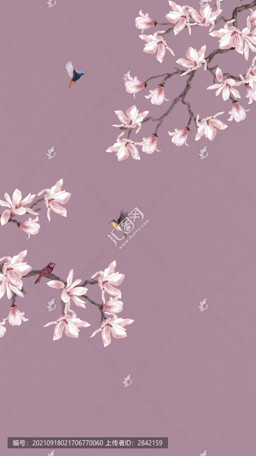 手繪玉蘭花鳥圖