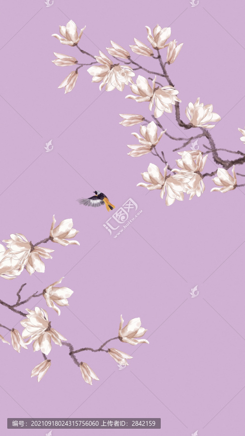 玉蘭花鳥圖