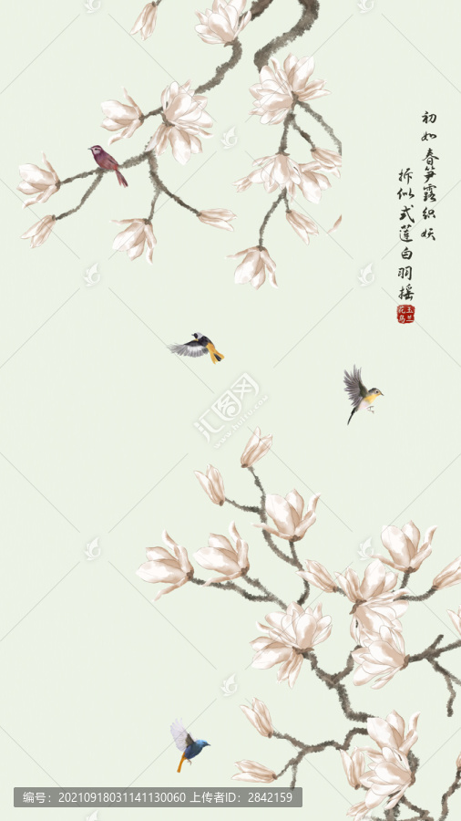 玉蘭花鳥圖
