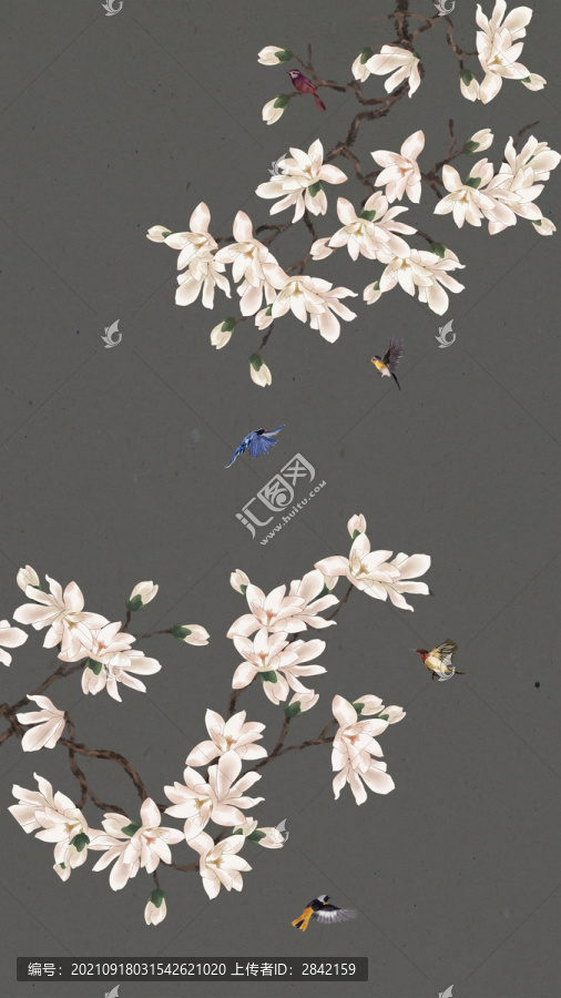 水墨玉蘭花鳥(niǎo)圖