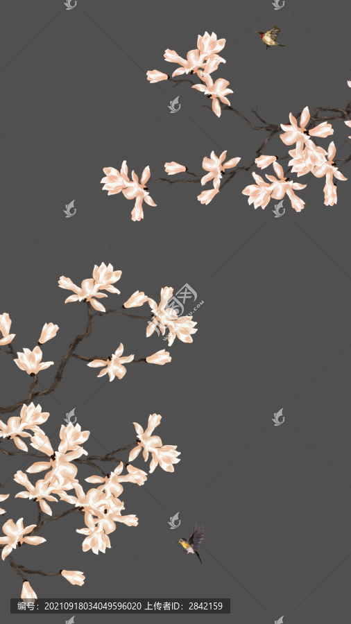 水墨水彩玉蘭花鳥圖