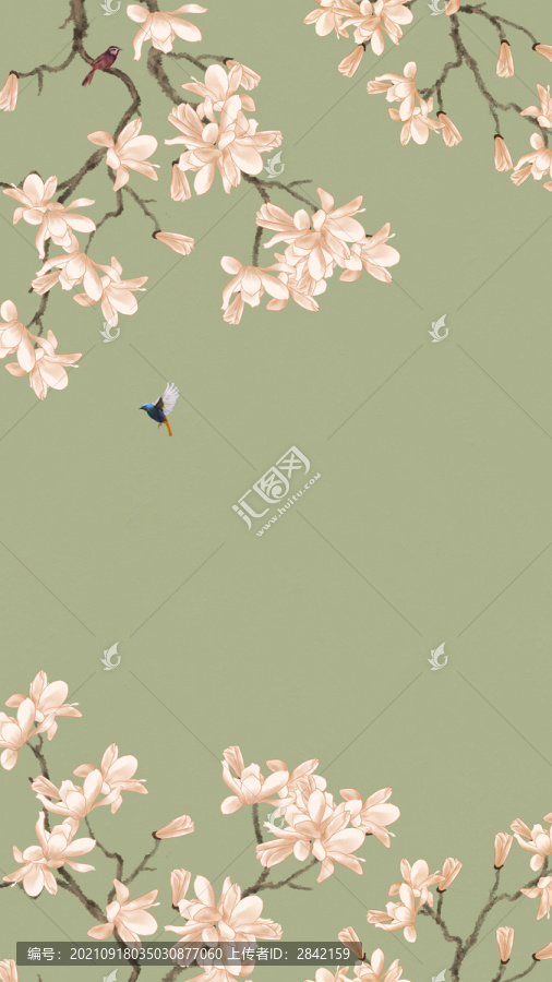 手繪玉蘭花鳥圖