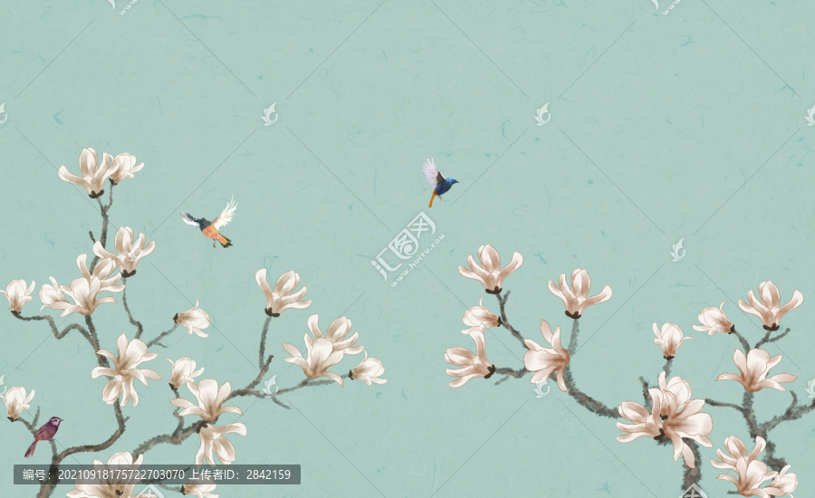手繪玉蘭花鳥(niǎo)圖