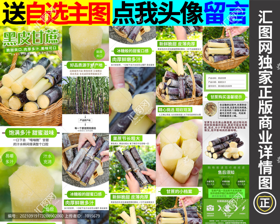 甘蔗詳情