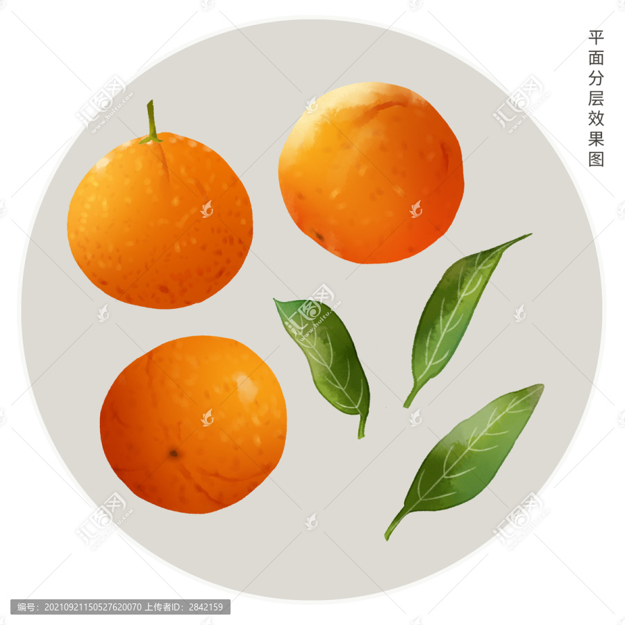 手繪橙子