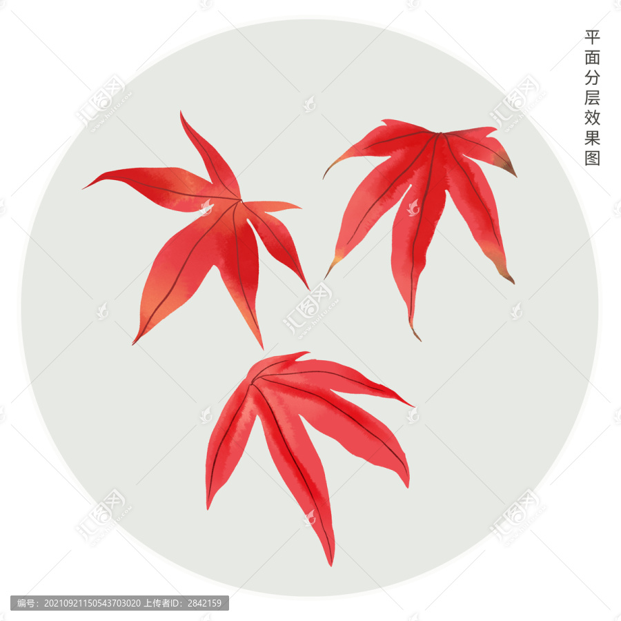 手繪楓葉