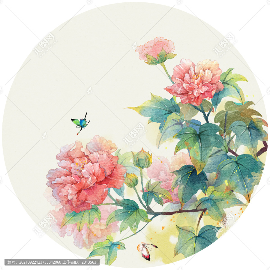 水彩芙蓉花插畫