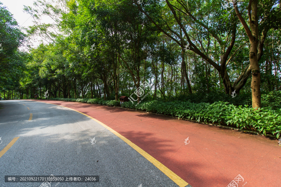 南宁青秀山风景区休闲步道