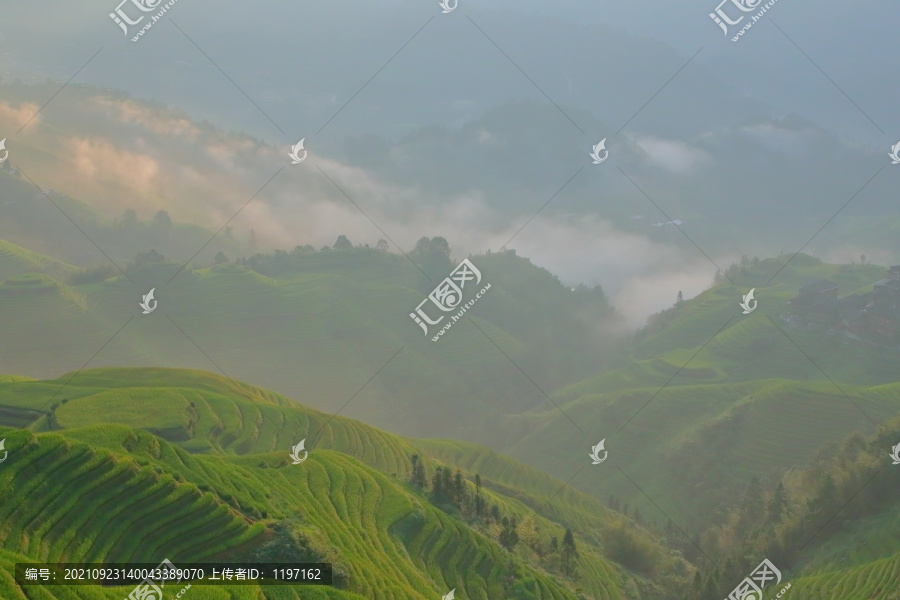 广西龙胜龙脊梯田的早晨