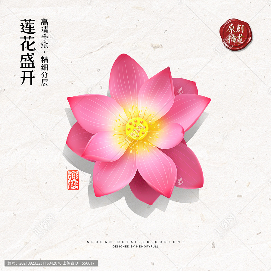 手繪荷花蓮花