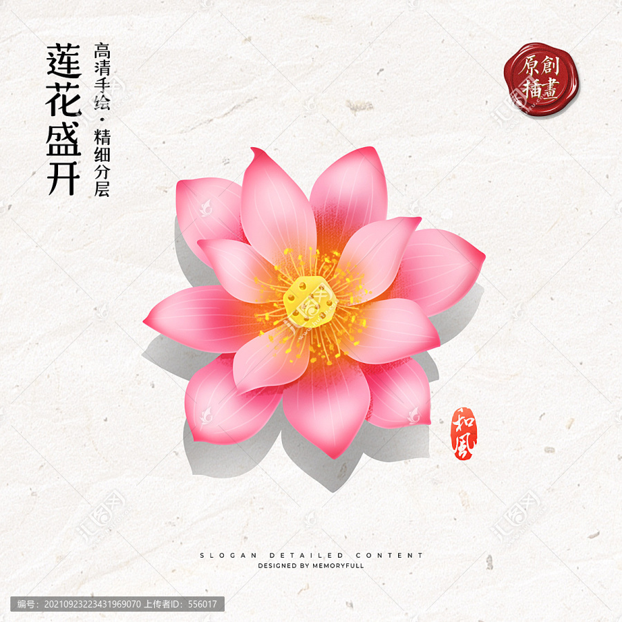 手繪蓮花荷花