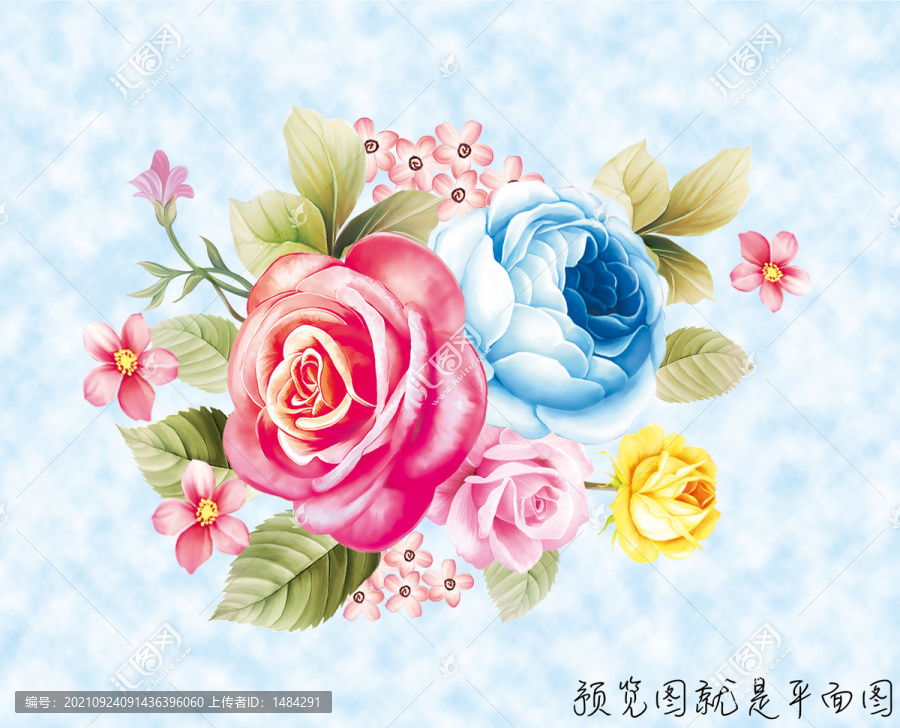玫瑰花卉