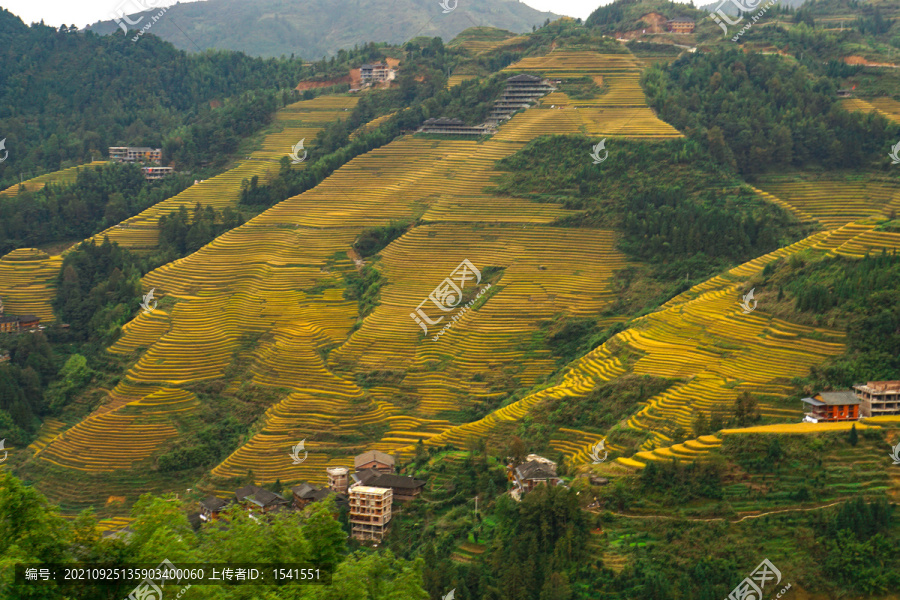 山岭梯田