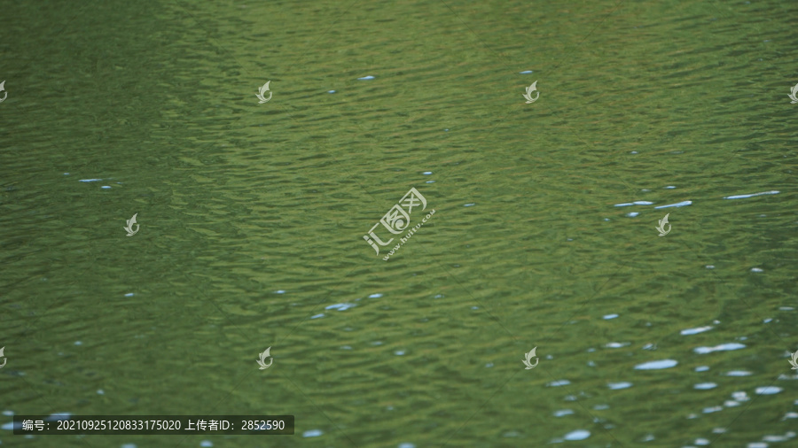 绿色水面