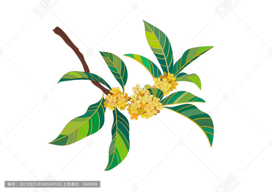 矢量桂花