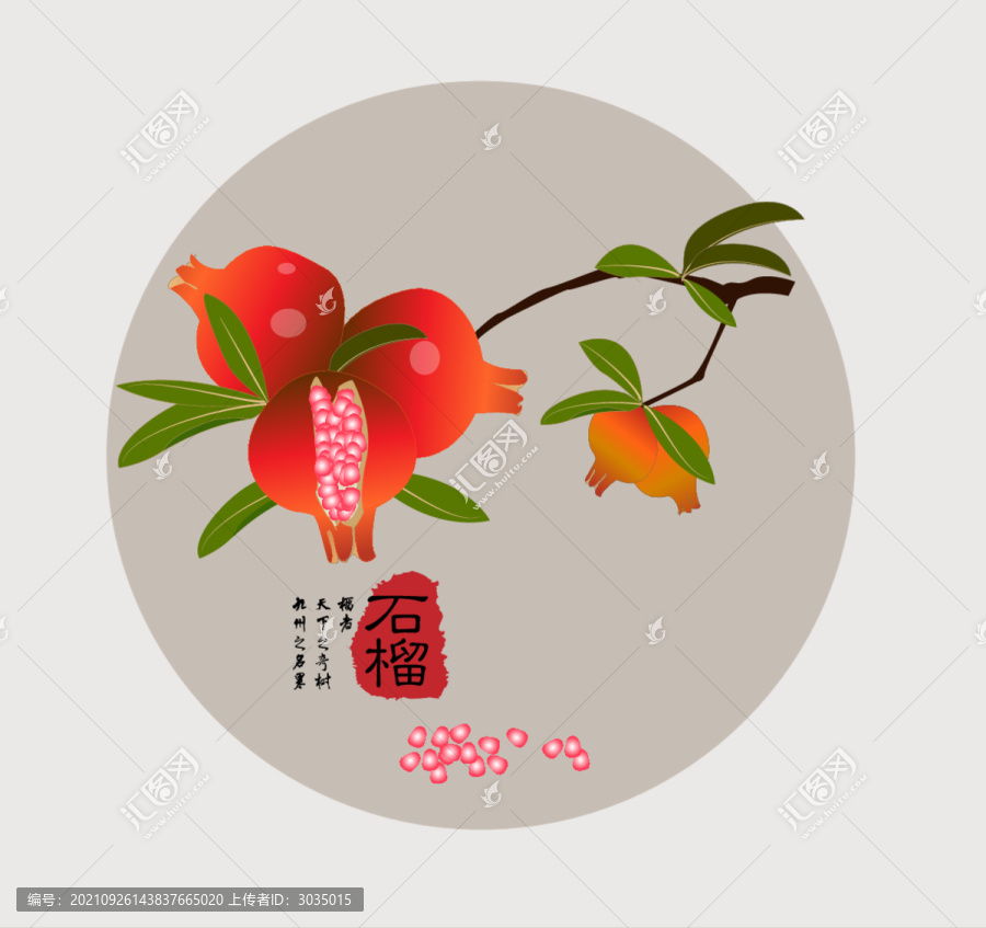 石榴水果包裝插畫手繪矢量高清