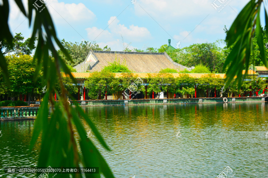 園林風(fēng)景
