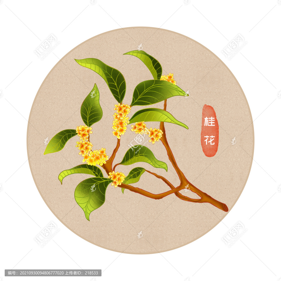 手繪工筆桂花掛畫扇面
