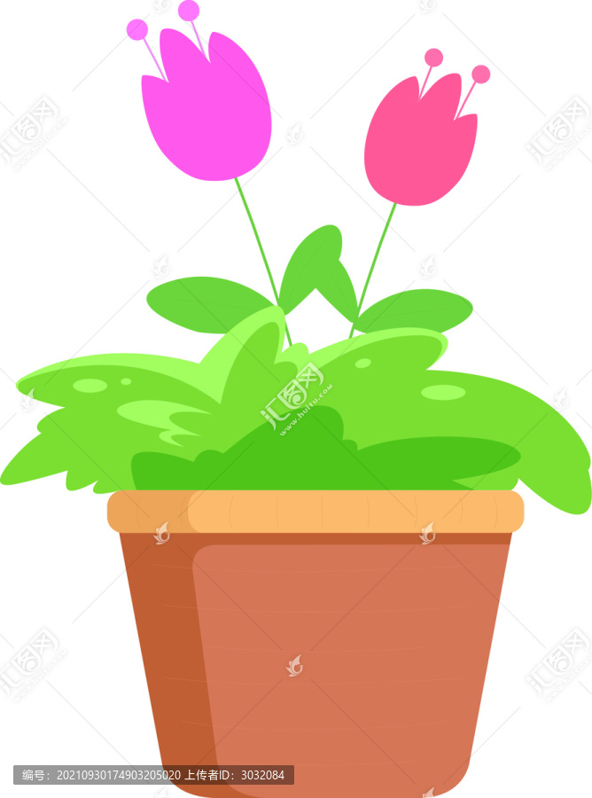 盆栽花卉