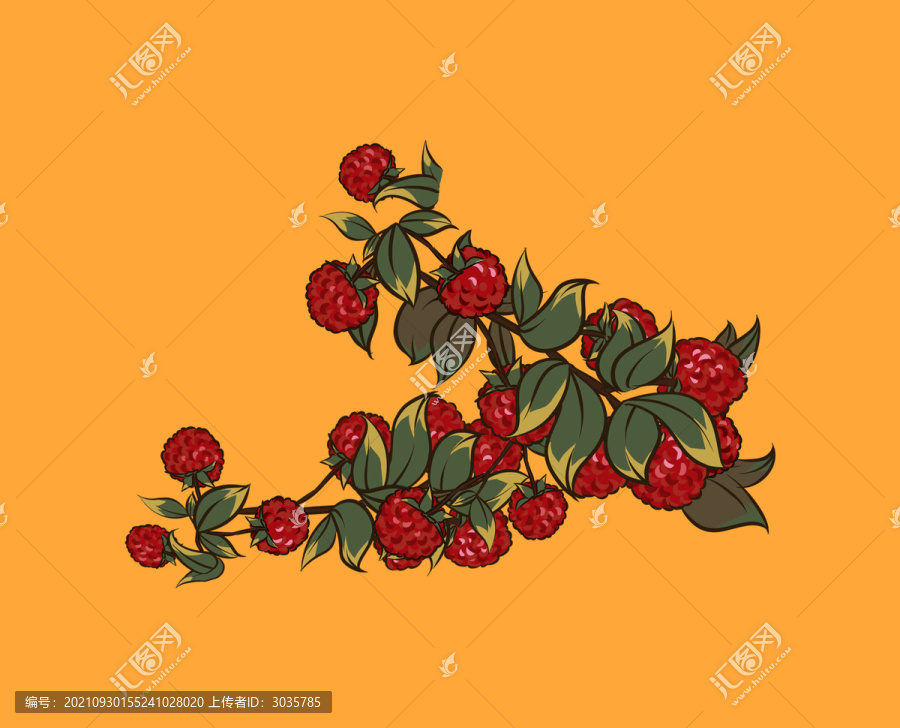 水果樹莓插畫