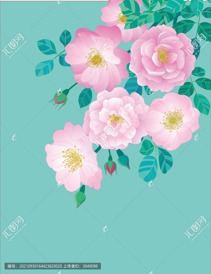 矢量薔薇