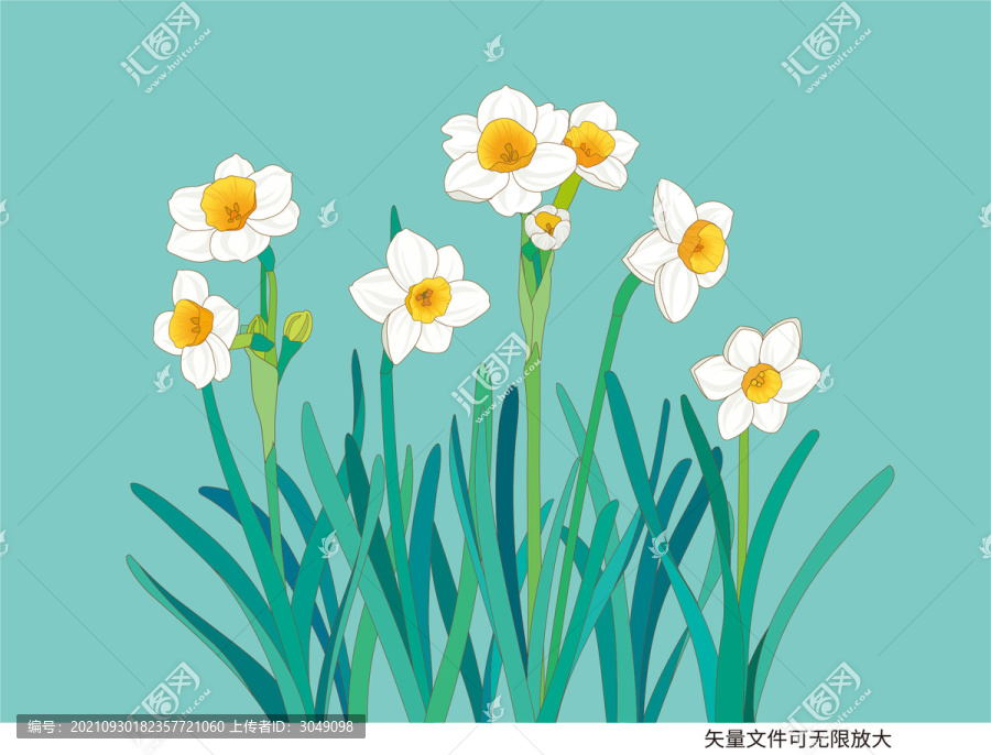 矢量水仙