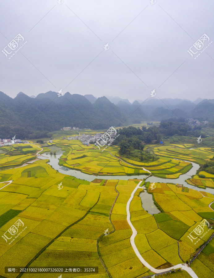 平江稻田