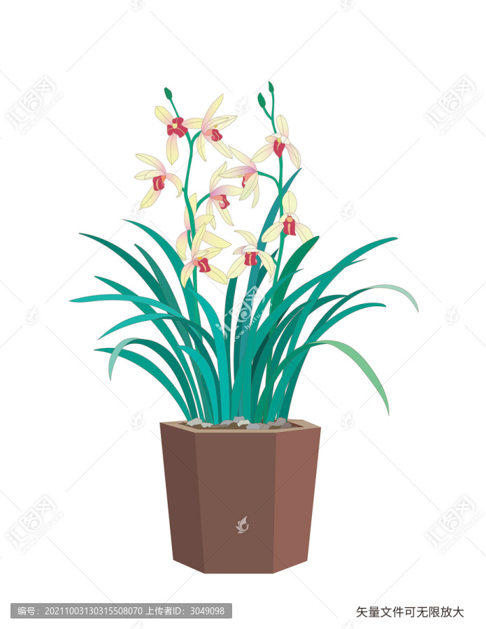 蘭花