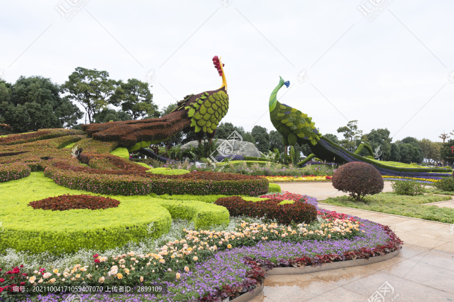 云南昆明国庆节植物造型立体花坛