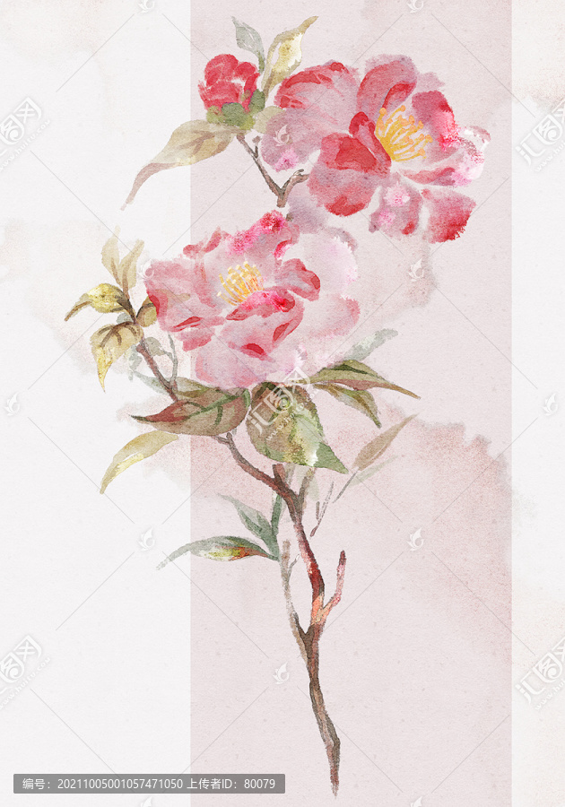 紅茶花