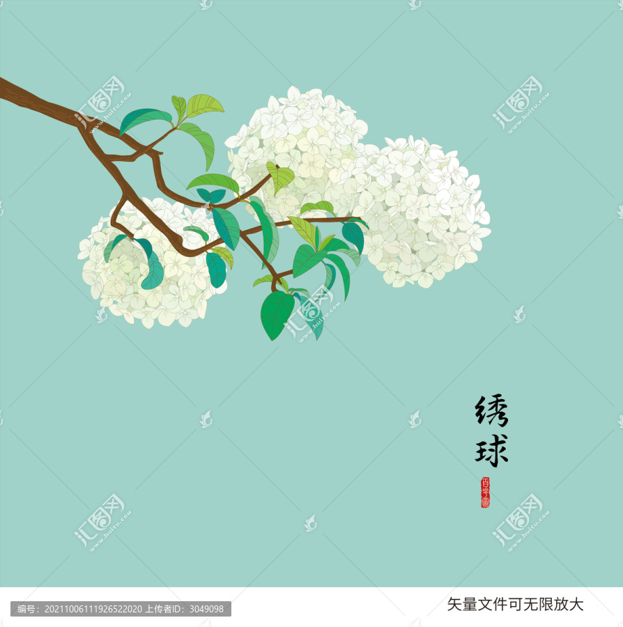 繡球