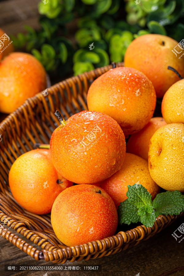 南果梨-匯圖網(wǎng) fosd68.com 南果梨