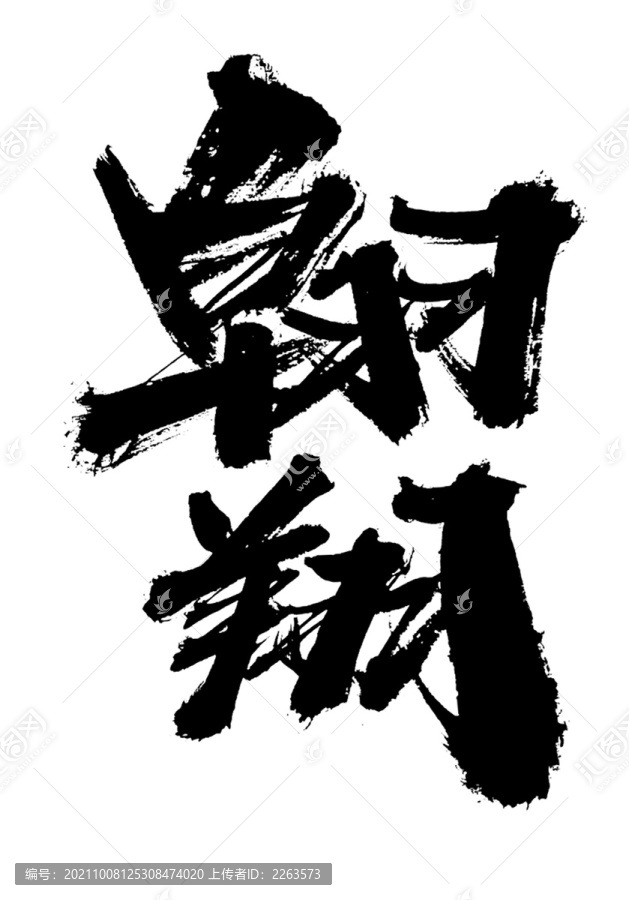 翱翔