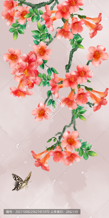 凌霄花花鳥(niǎo)畫(huà)