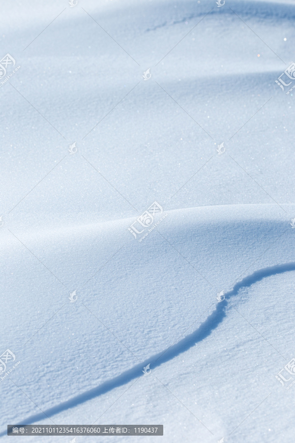 雪地