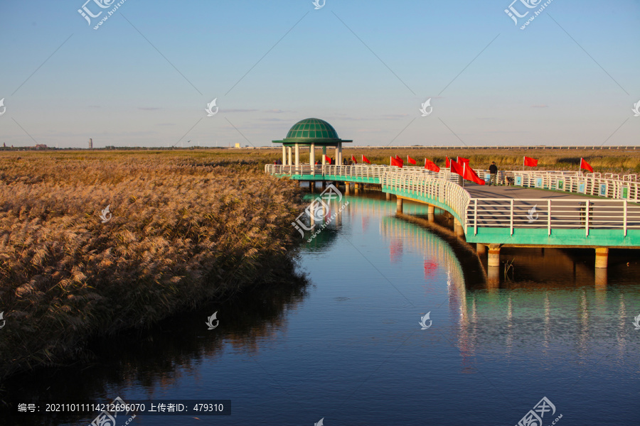 大庆湿地