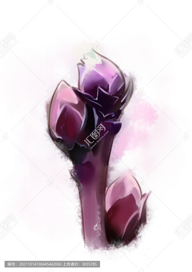 藍(lán)莓成長(zhǎng)蹦芽