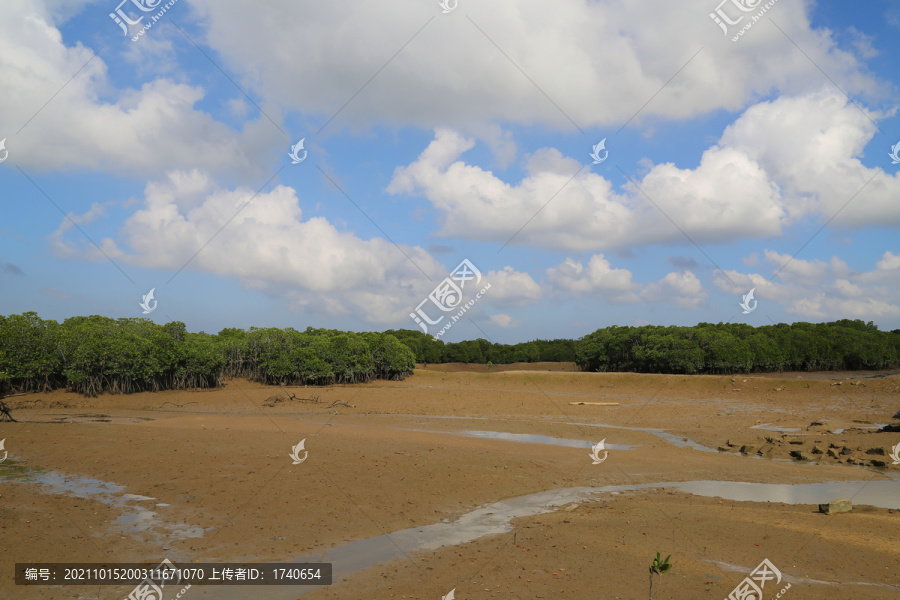 儋州红树林生态湿地