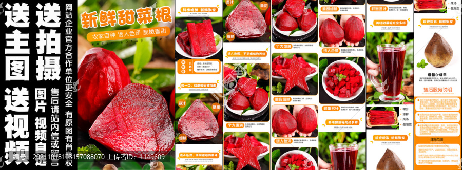 新鮮甜菜根詳情