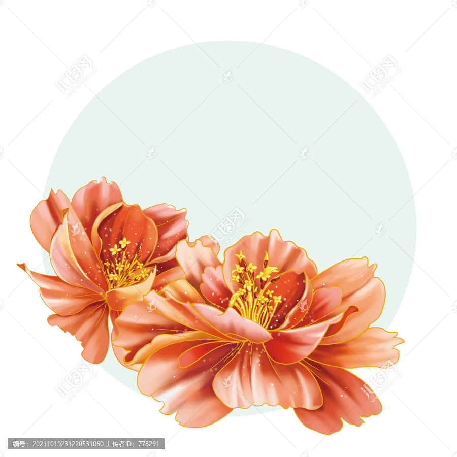 海棠花